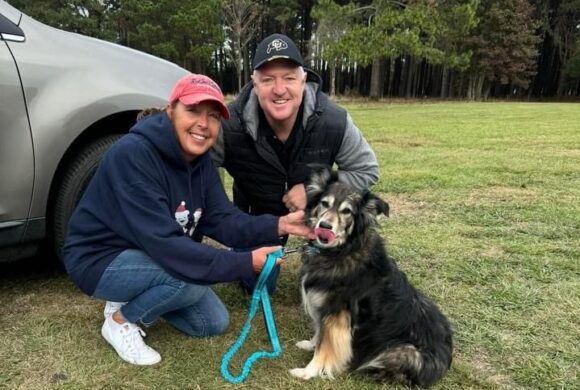 Open Adoption Days for Dogs @ Mr. Joe White Ave.