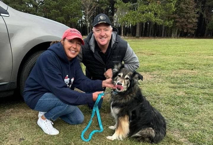 Open Adoption Days for Dogs @ Mr. Joe White Ave.